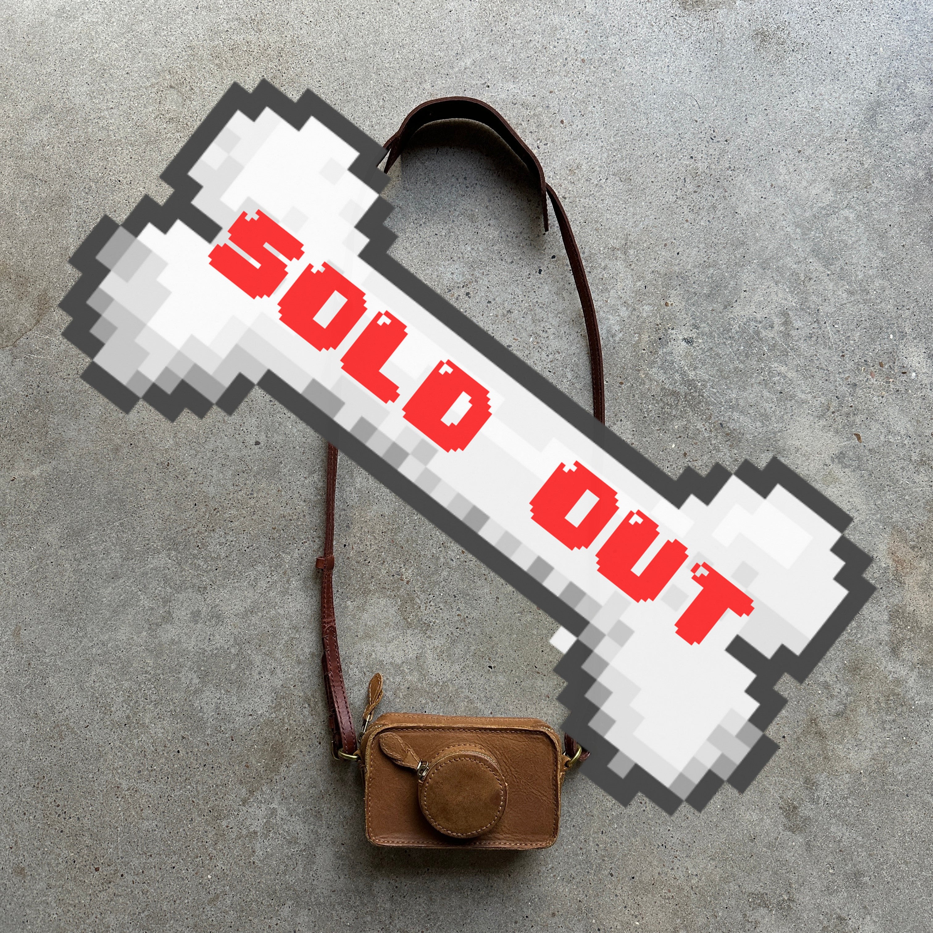 “Madewell” Camera-shaped Leather Crossbody