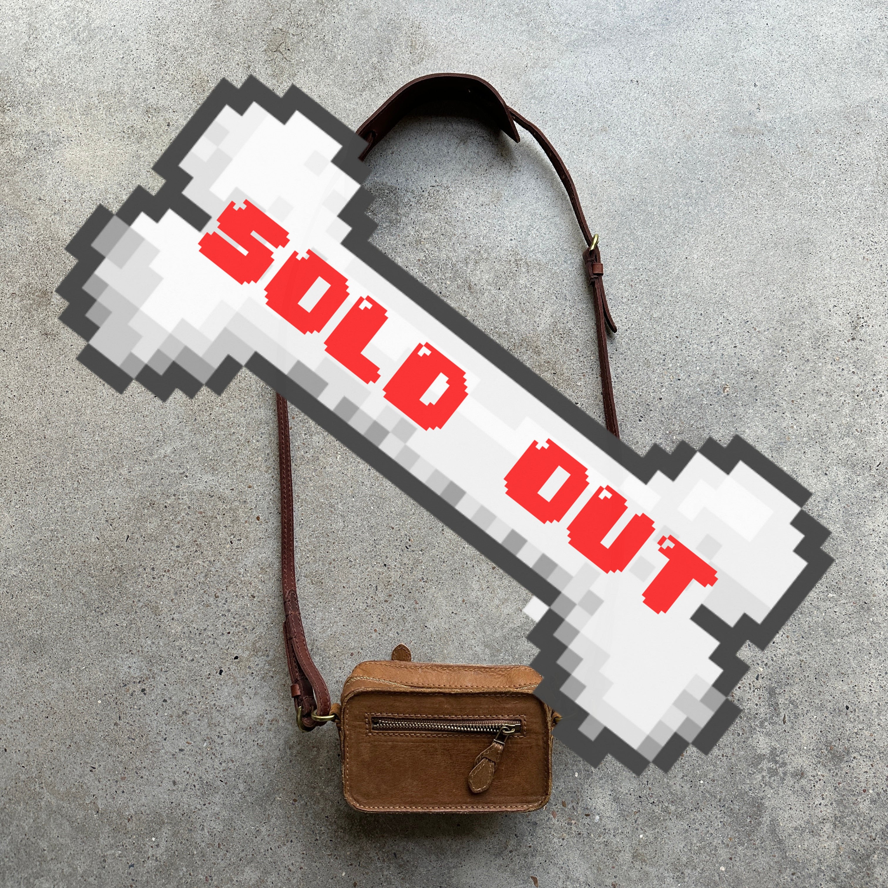 “Madewell” Camera-shaped Leather Crossbody