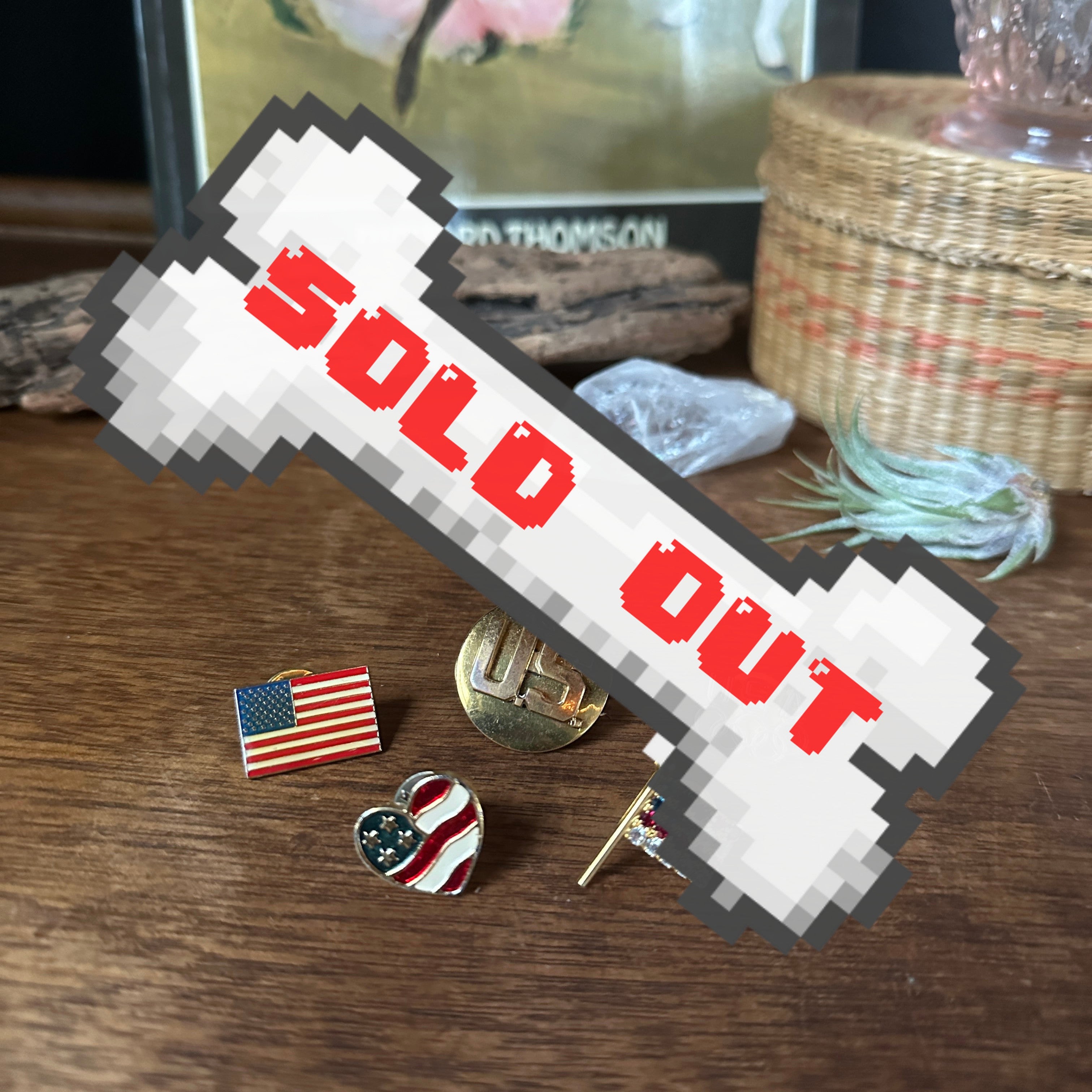 Vintage USA Pin Bundle